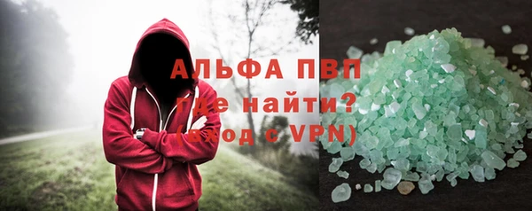 прущие грибы Елизово