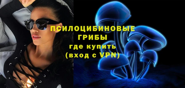индика Дмитров