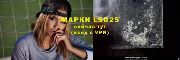 прущие грибы Елизово
