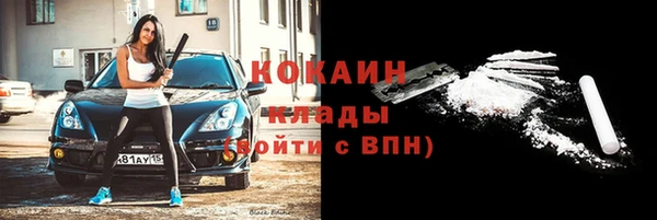 прущие грибы Елизово