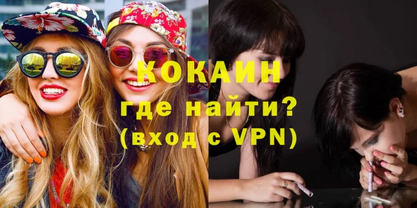 прущие грибы Елизово