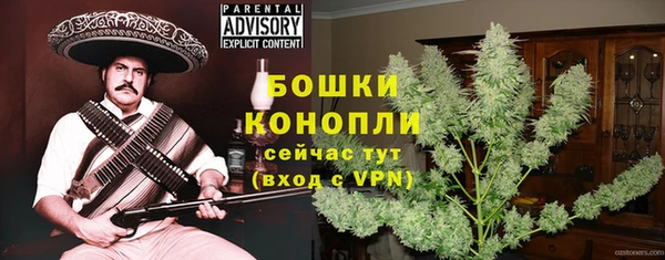 прущие грибы Елизово