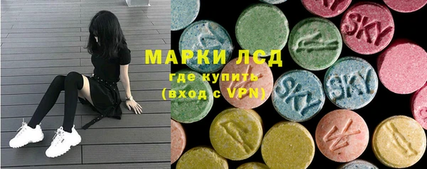 дмт Елабуга