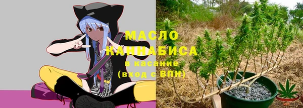 дмт Елабуга