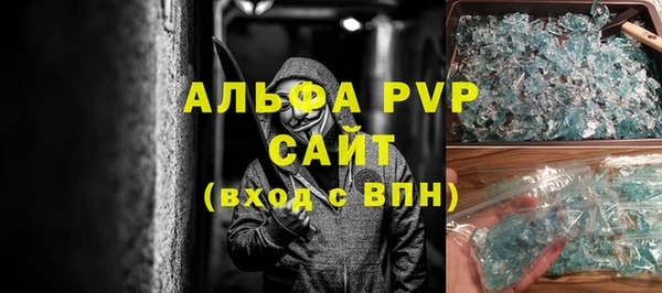 прущие грибы Елизово