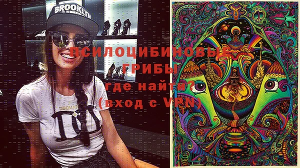 дмт Елабуга