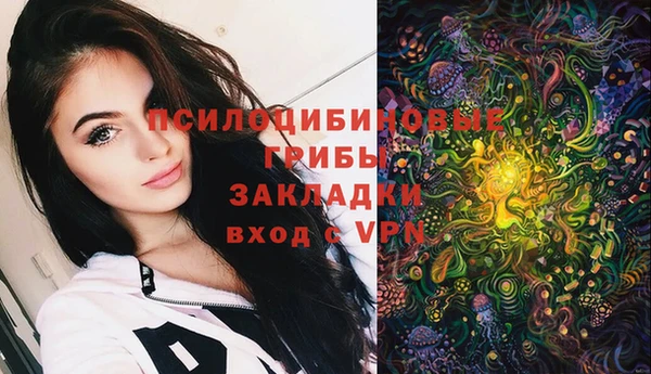 индика Дмитров