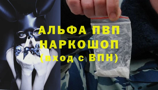 прущие грибы Елизово
