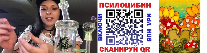 Галлюциногенные грибы мицелий  Купить  Усть-Джегута 